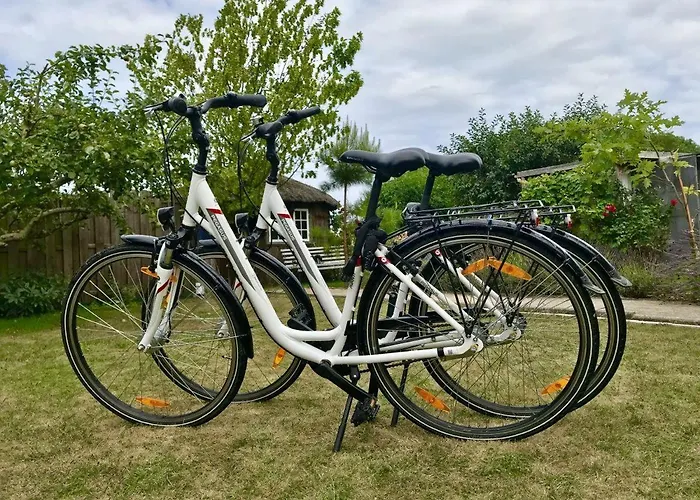 Teichblick * Dänschendorf